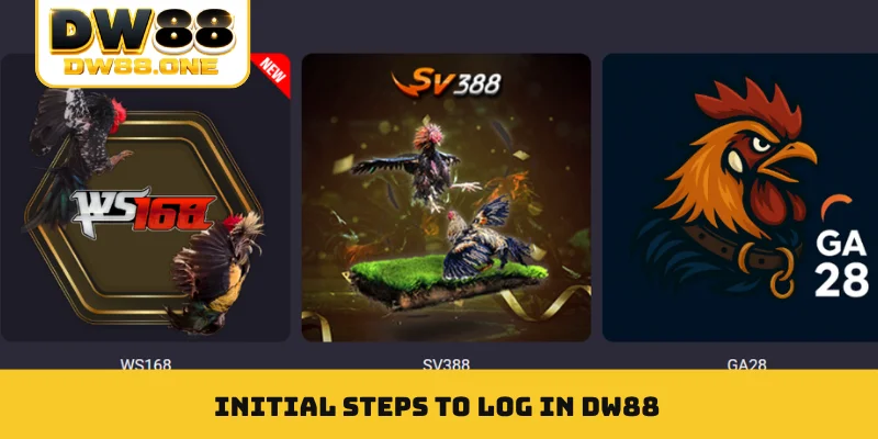 Initial steps to log in DW88
